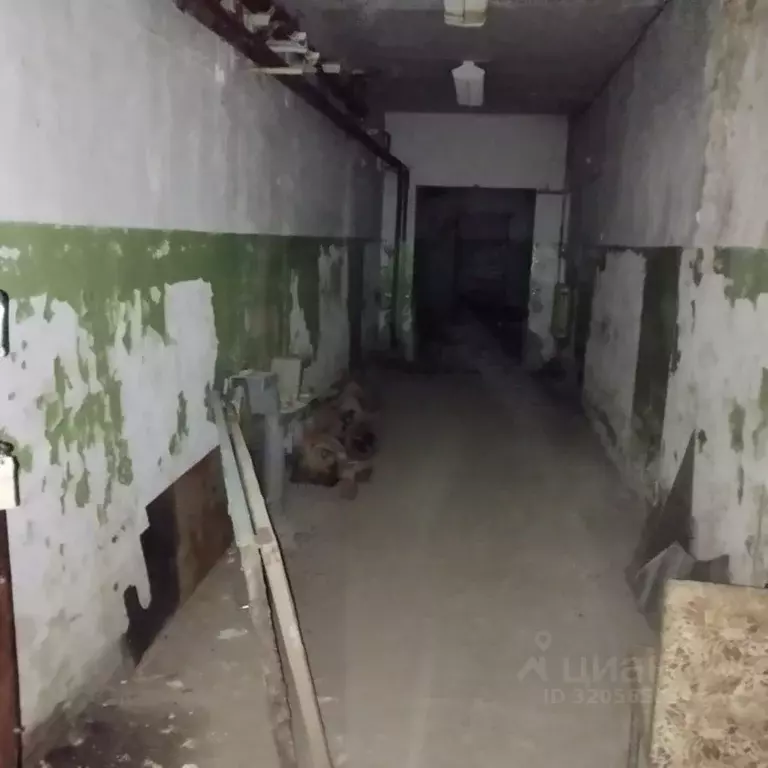Помещение свободного назначения в Магаданская область, Магадан ул. ... - Фото 0