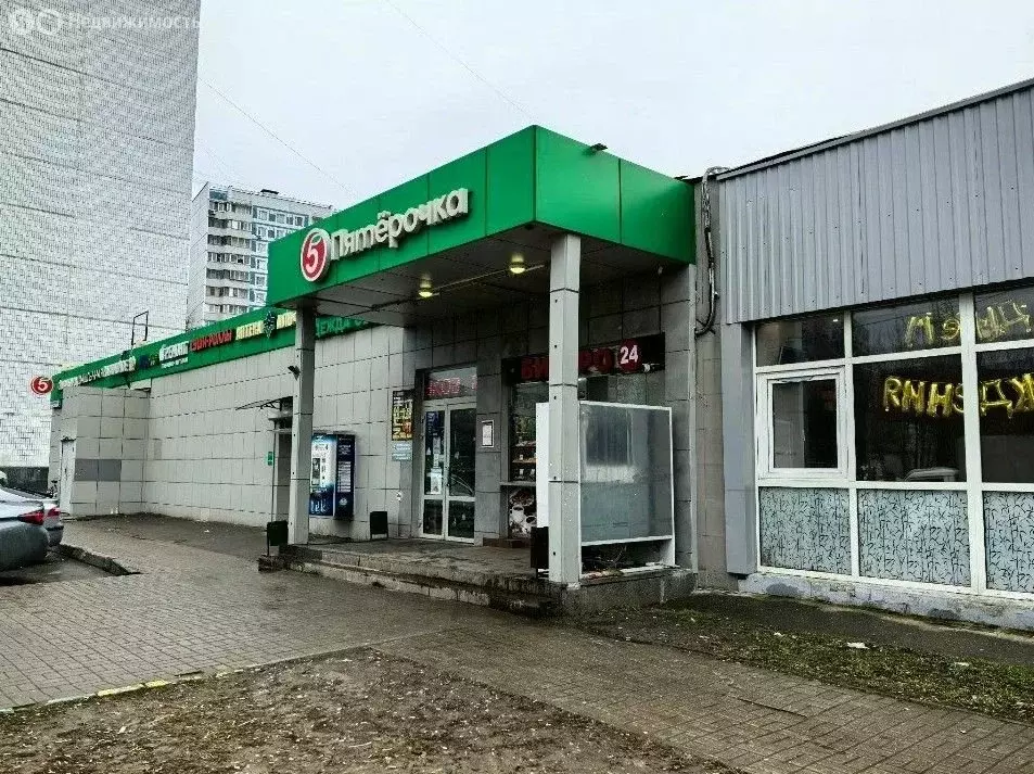 Помещение свободного назначения (242 м) - Фото 1