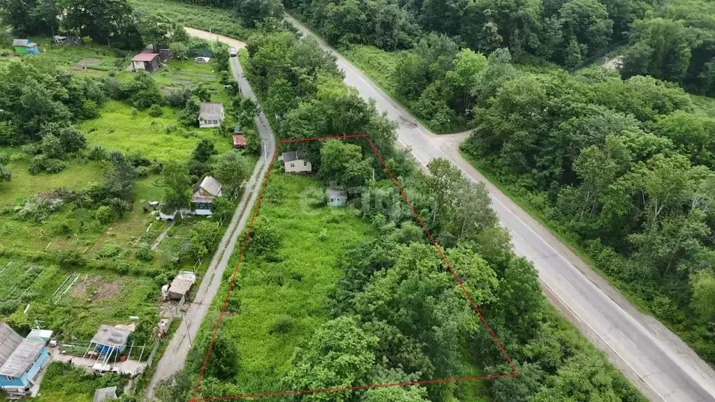 Участок в Приморский край, Надеждинский район, Актинидия СНТ  (10.3 ... - Фото 0