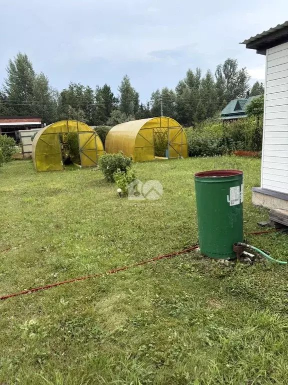 Участок в Новосибирская область, Колыванский район, Рыбачий СНТ 294 ... - Фото 2