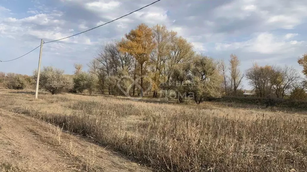 Участок в Волгоградская область, Среднеахтубинский район, Куйбышевское ... - Фото 1