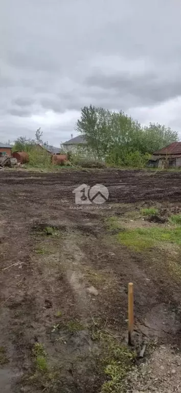 Участок в Новосибирская область, Новосибирский район, Станционный ... - Фото 2