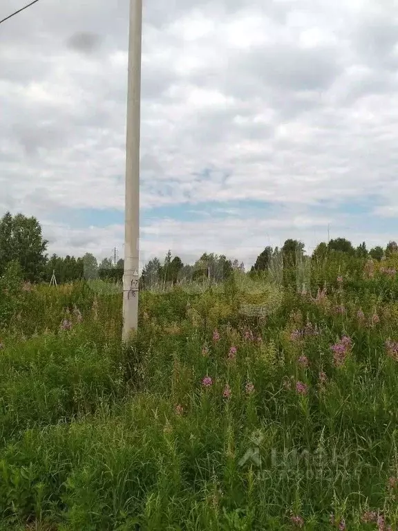Участок в Томская область, Томск Каменка мкр, ул. Тихая (15.0 сот.) - Фото 2