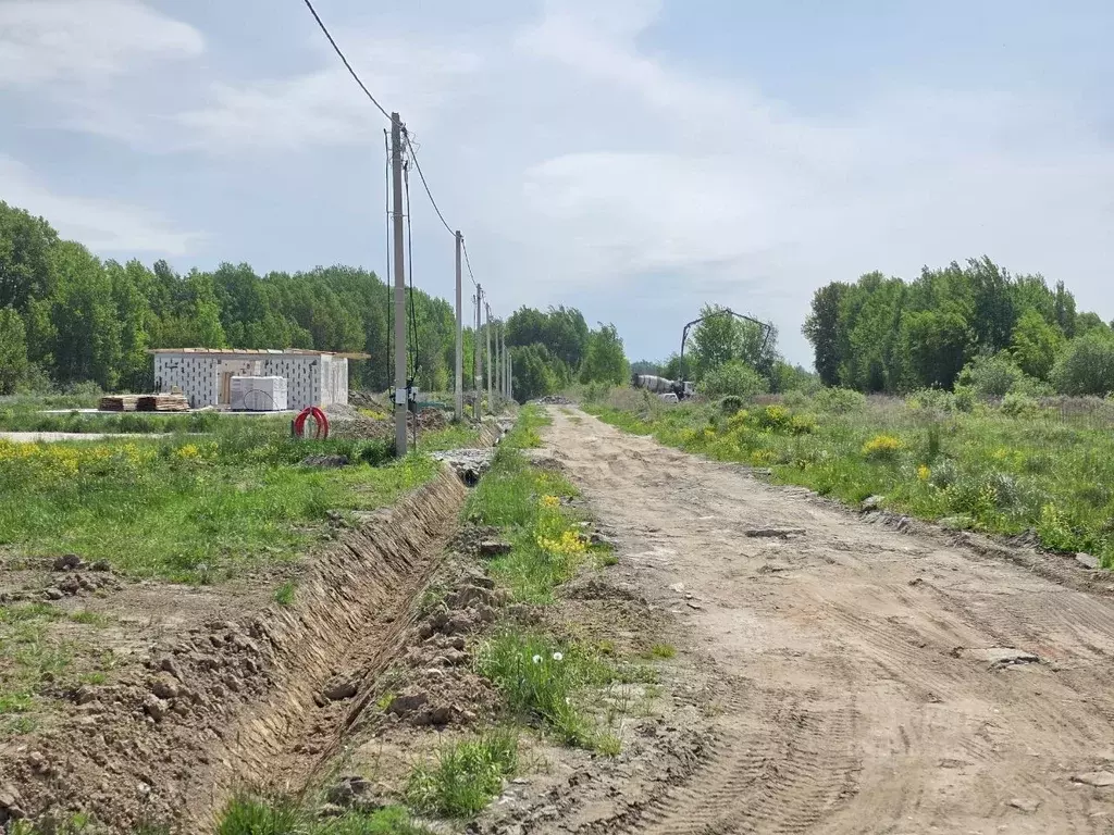 Участок в Калининградская область, Гурьевский муниципальный округ, ... - Фото 1