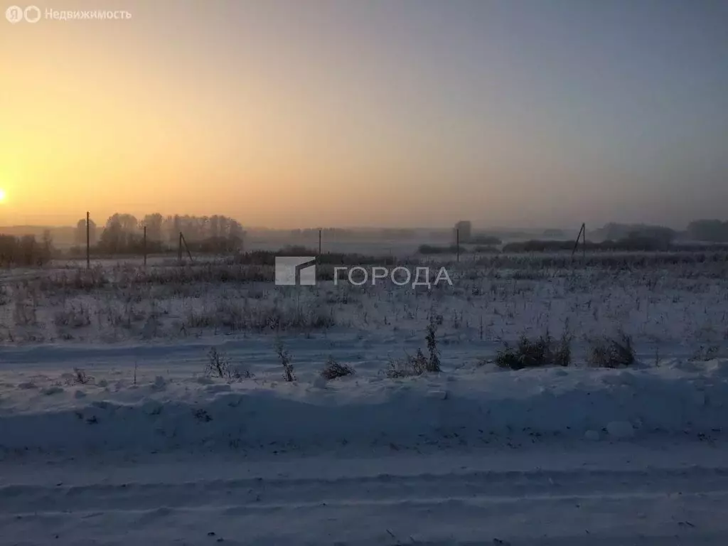 Участок в Мошковский район, село Томилово (10 м) - Фото 1