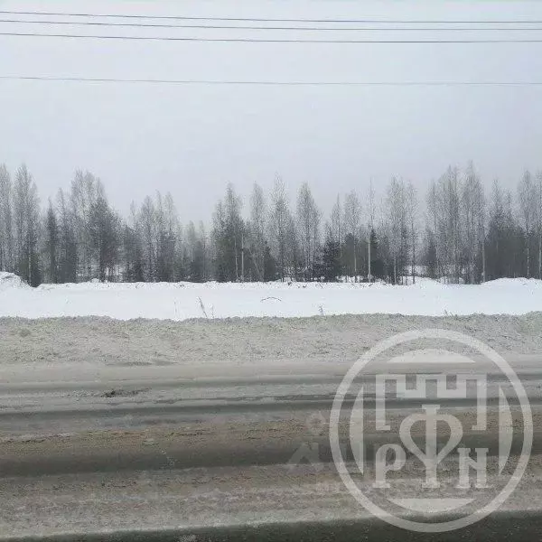 Участок в Ленинградская область, Всеволожский район, Агалатовское ... - Фото 2
