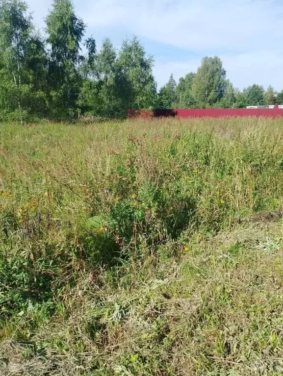 Участок в Владимирская область, Петушинский муниципальный округ, д. ... - Фото 1