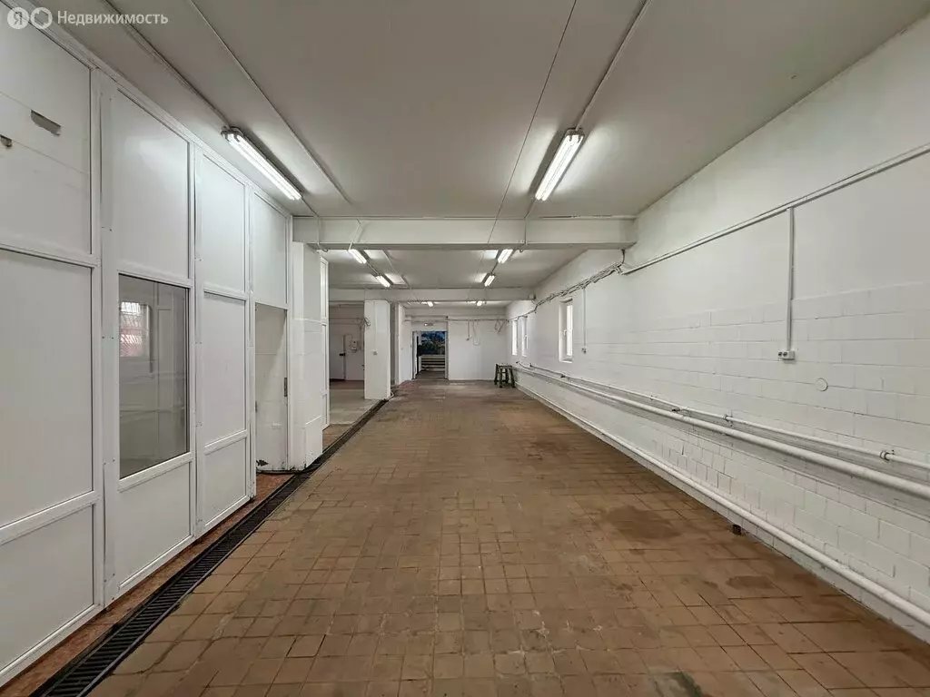 Производственное помещение (240 м) - Фото 1