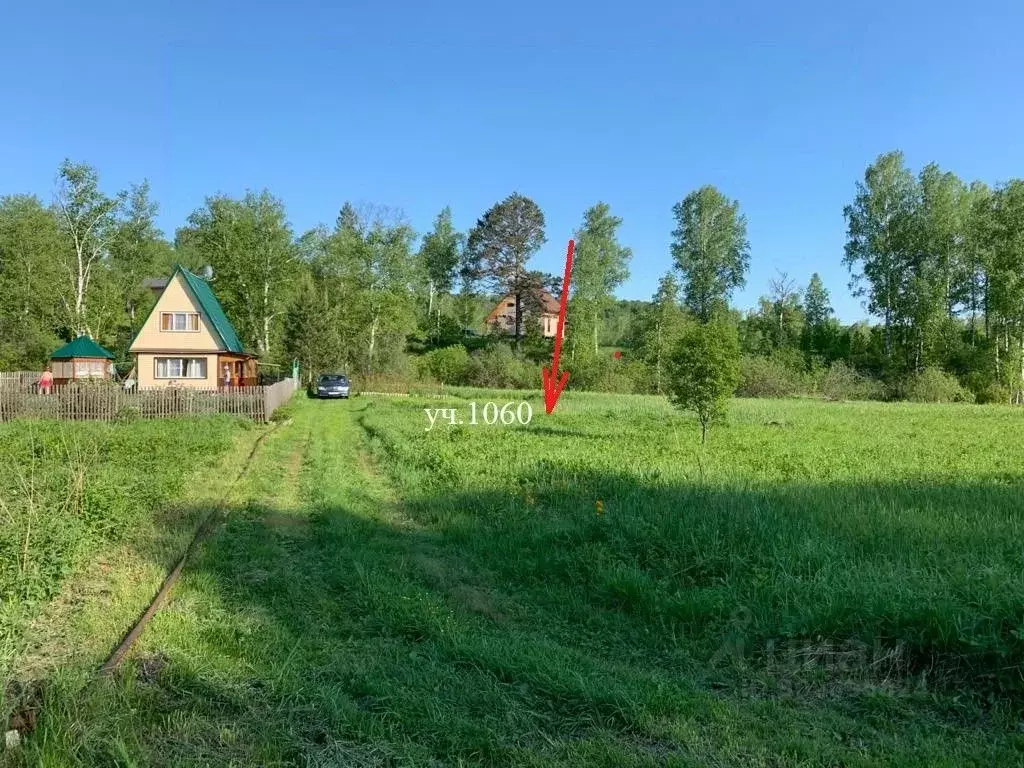 Участок в Новосибирская область, Новосибирский район, Барышевский ... - Фото 1