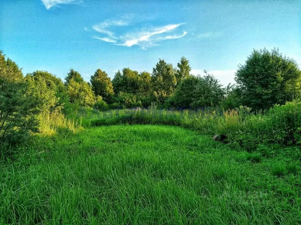 Участок в Ярославская область, Переславль-Залесский муниципальный ... - Фото 0