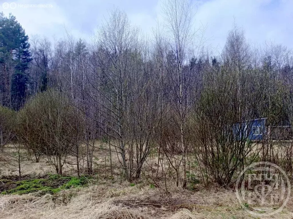 Участок в Выборгский район, Рощинское городское поселение, посёлок ... - Фото 1