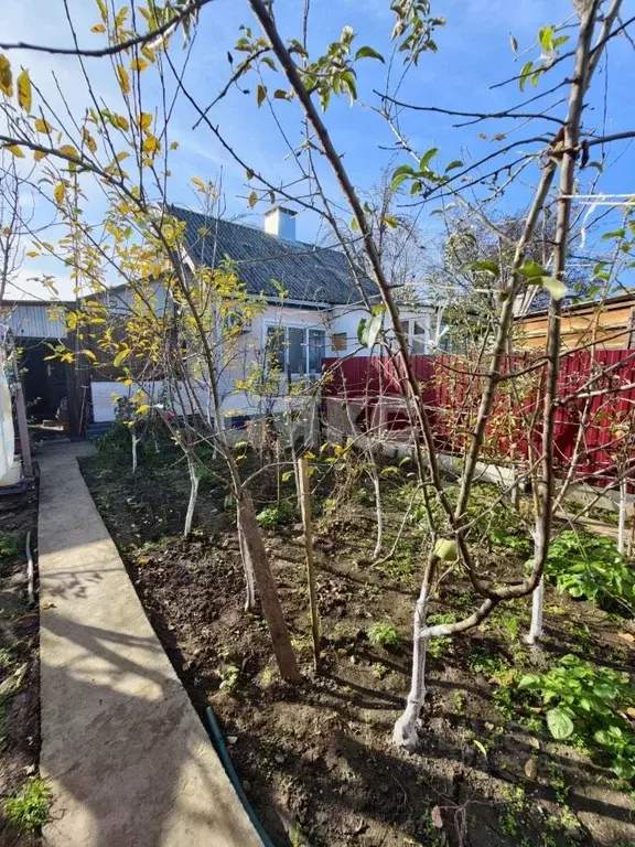 Дом в Краснодарский край, Кореновск ул. Суворова, 17 (28 м) - Фото 1