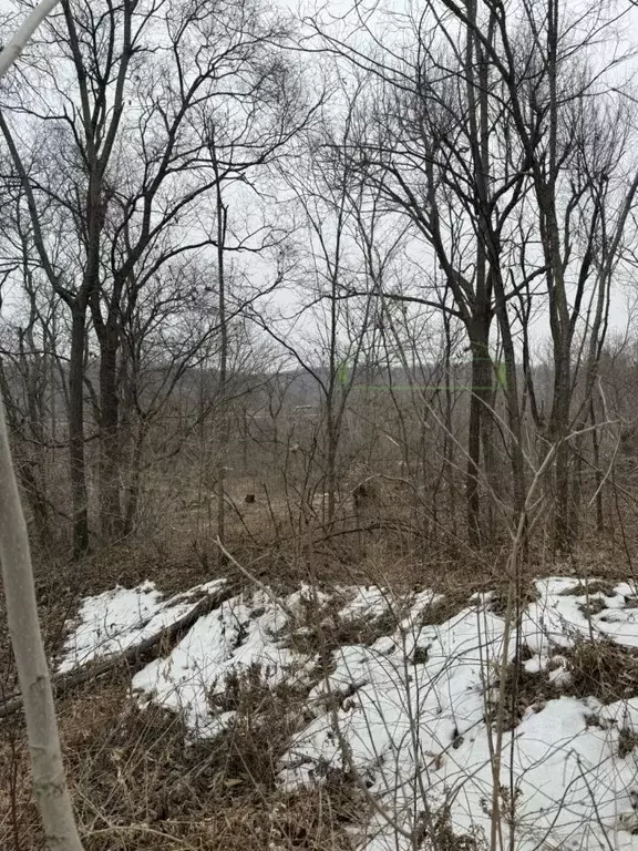 Участок в Приморский край, Артем ул. 1-я Рабочая (11.83 сот.) - Фото 2