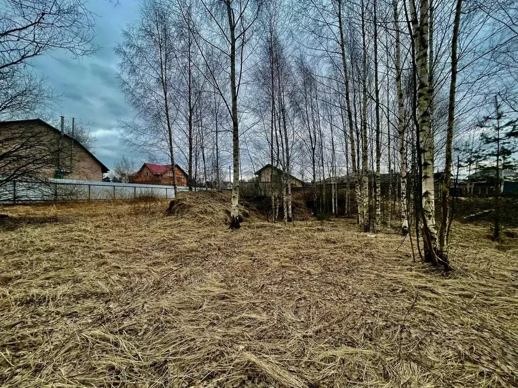 Участок в Ленинградская область, Всеволожский район, Заневское ... - Фото 1