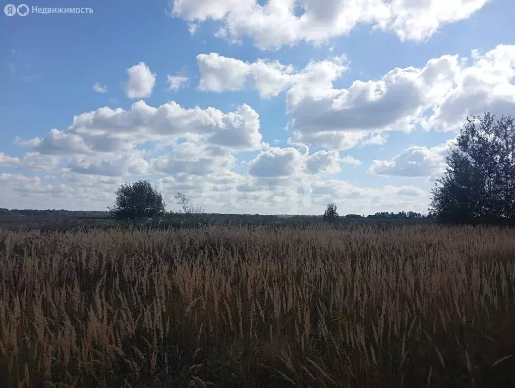 Участок в Костромской район, Шунгенское сельское поселение, деревня ... - Фото 1