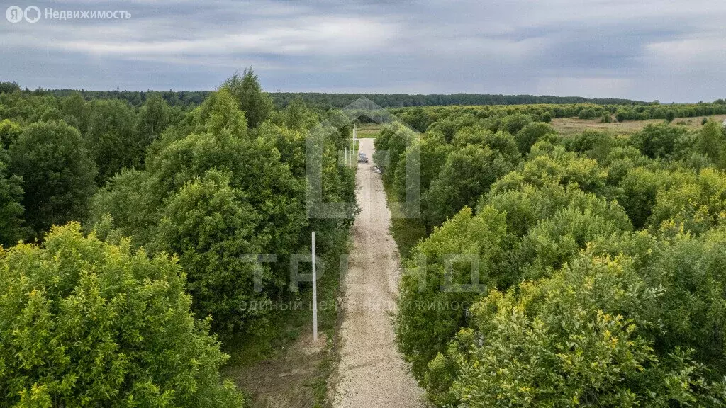 Участок в Лопухинское сельское поселение, деревня Воронино, Заовражная ... - Фото 1