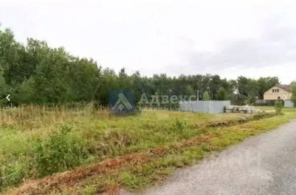 Участок в Тюменская область, Тюменский район, д. Елань, Московские ... - Фото 1