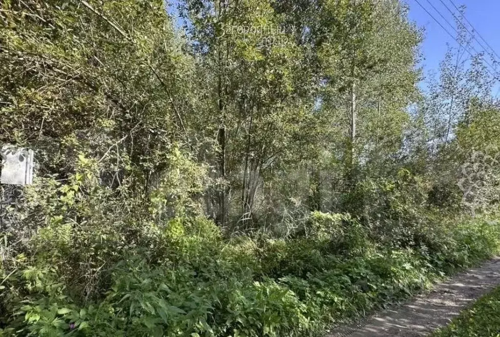 Участок в Московская область, Клин городской округ, Колос СНТ 128 ... - Фото 1