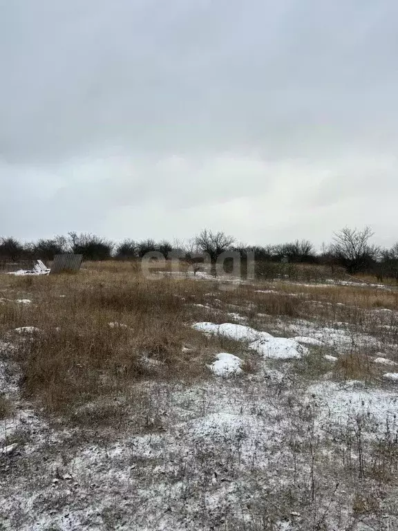 Участок в Белгородская область, Вейделевка городское поселение, ... - Фото 1