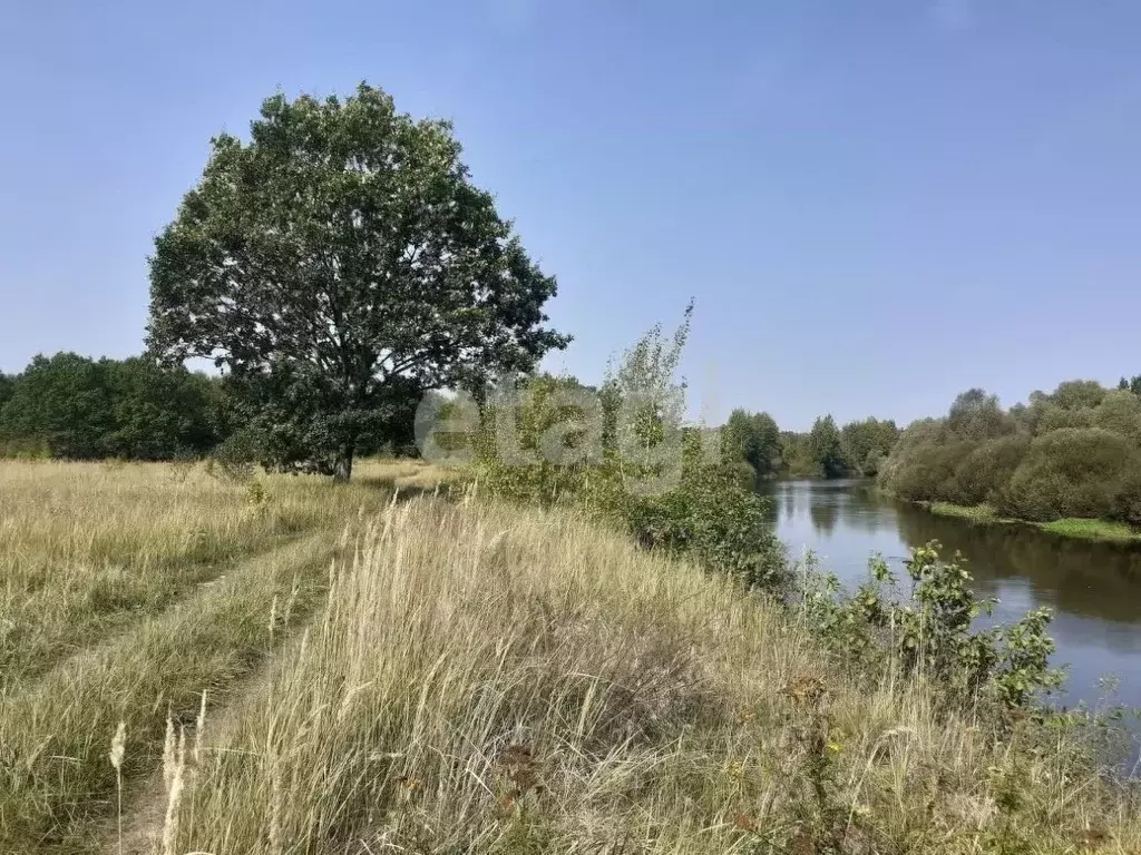 Участок в Брянская область, Брасовский район, Добриковское с/пос, пос. ... - Фото 1