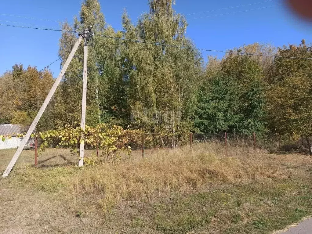 Участок в Воронежская область, Верхнехавский район, с. Малая ... - Фото 1