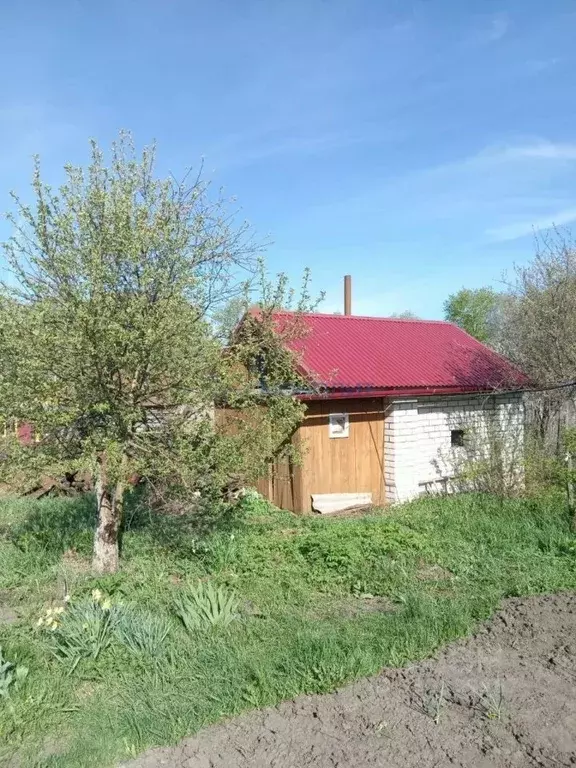 Дом в Нижегородская область, Большемурашкинский муниципальный округ, ... - Фото 1