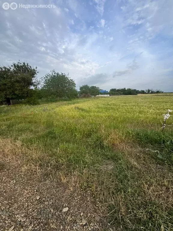 Участок в село Кухаривка, улица Победы (6 м) - Фото 0