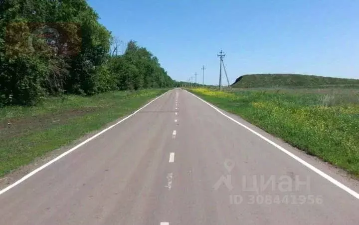 Участок в Воронежская область, Новоусманский район, с. Бабяково ... - Фото 1