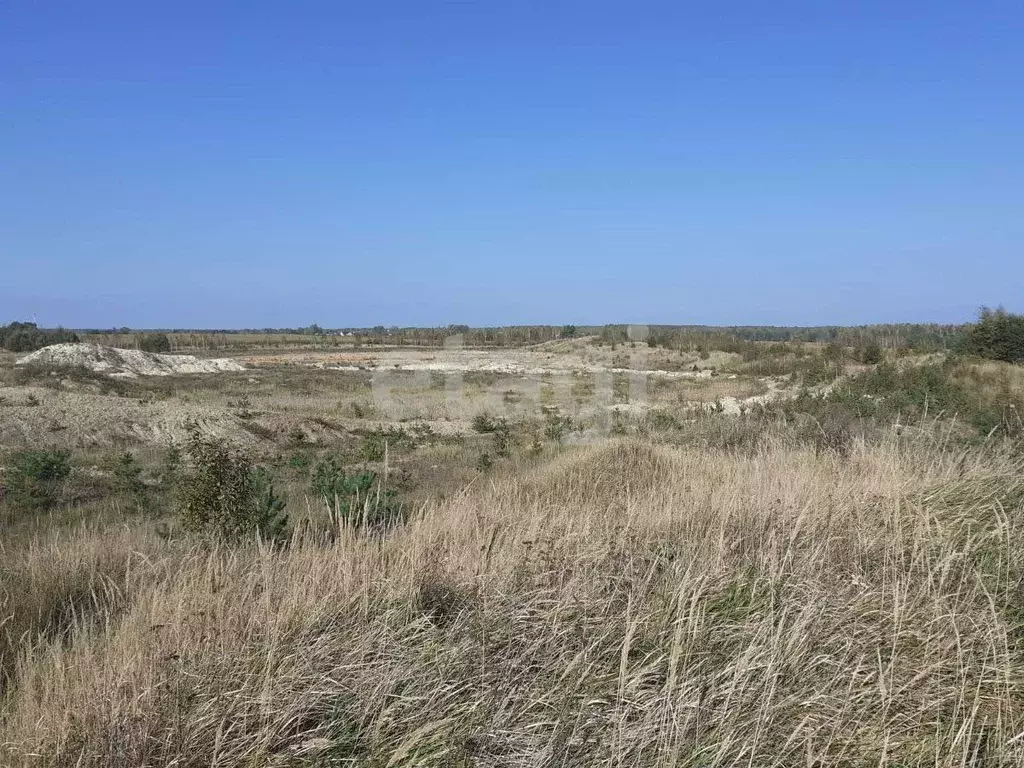 Участок в Брянская область, Выгоничский район, Хмелевское с/пос, пос. ... - Фото 2