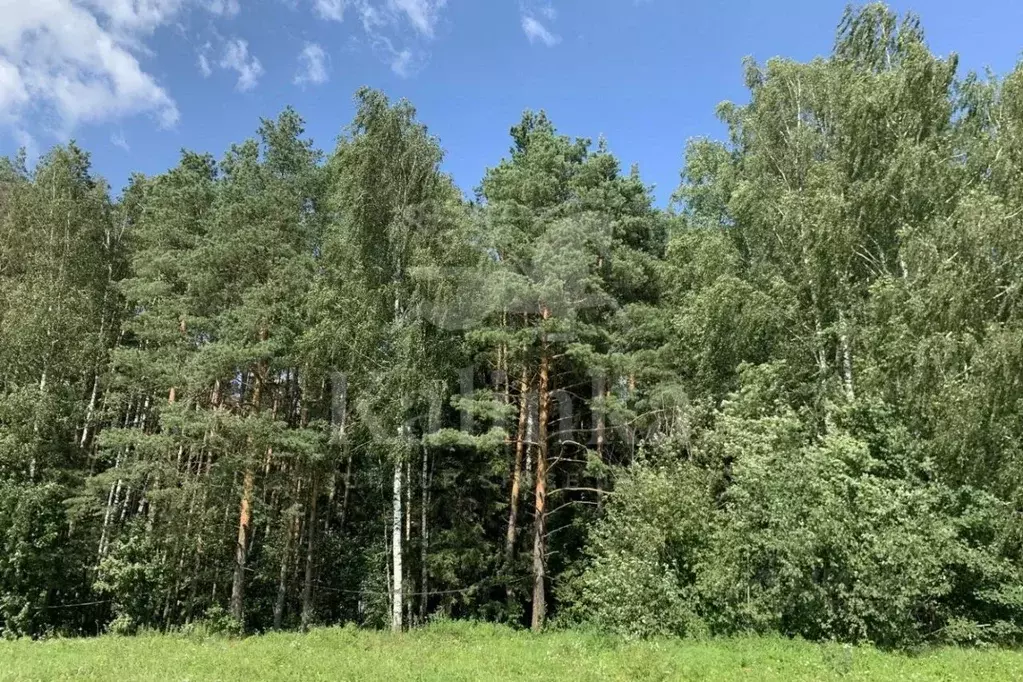 Участок в Московская область, Одинцовский городской округ, д. ... - Фото 2