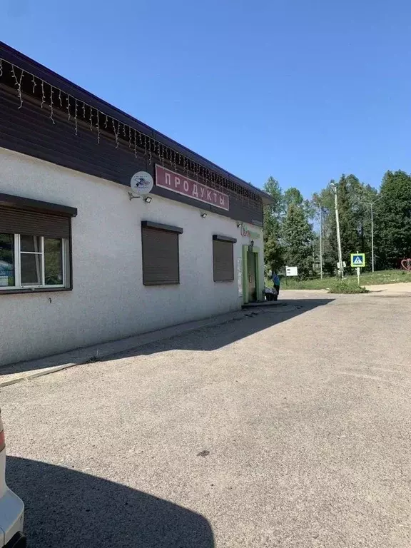Дом в Нижегородская область, Кстовский муниципальный округ, с. Шава ... - Фото 0