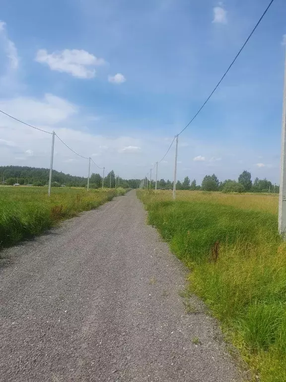 Участок, 10 сот., поселения (ижс) - Фото 1