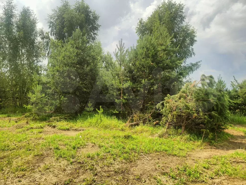 Участок 10,2 сот. (ИЖС) - Фото 1