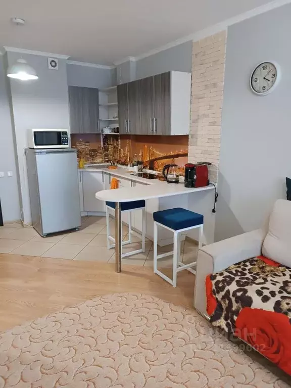 Студия Красноярский край, Красноярск Соколовская ул., 70 (30.0 м) - Фото 0