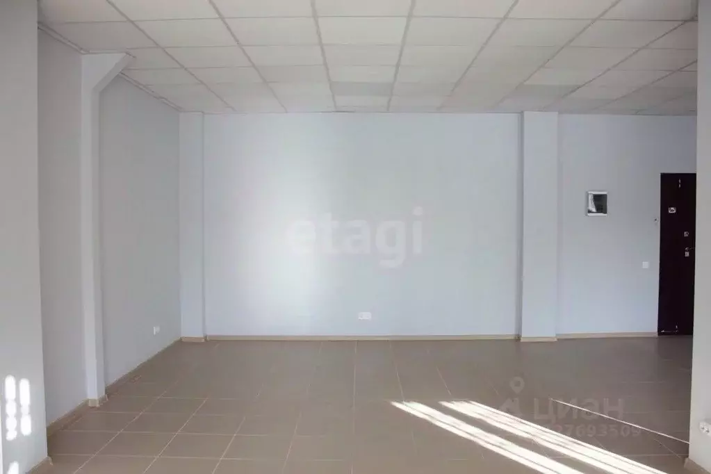 Офис в Новосибирская область, Новосибирск ул. Сибиряков-Гвардейцев, ... - Фото 2