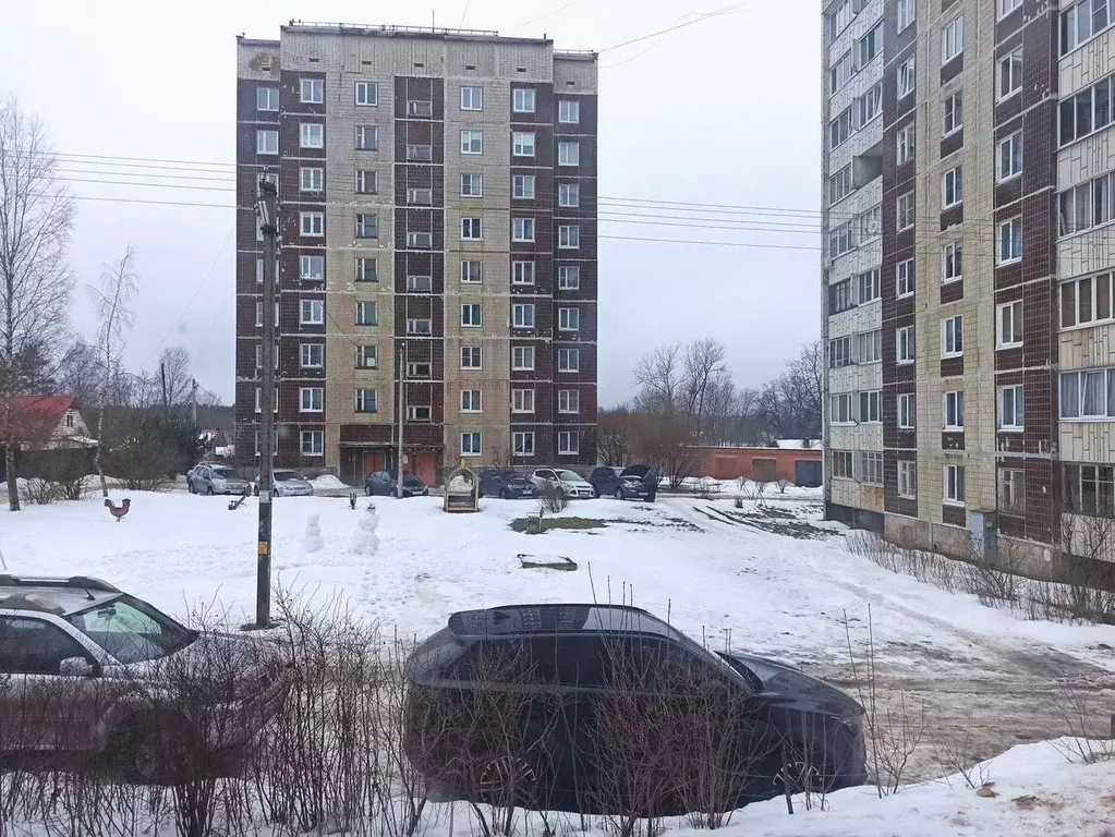 2-к кв. Ленинградская область, Луга просп. Урицкого, 92/9 (61.0 м) - Фото 2