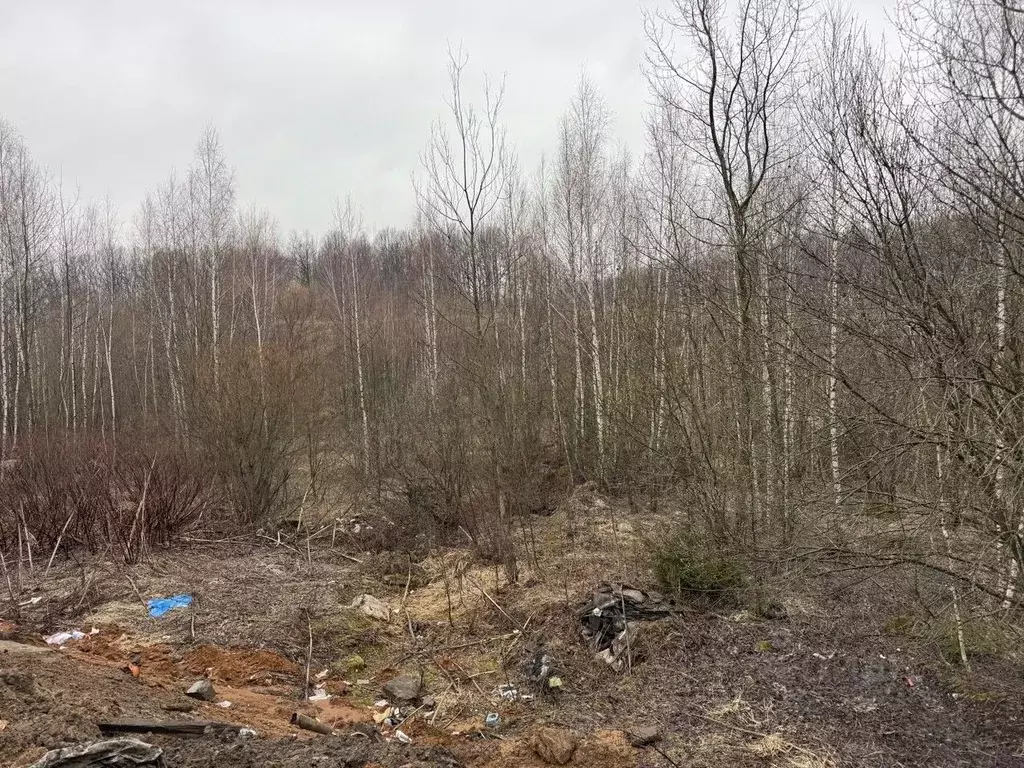 Участок в Московская область, Пушкинский городской округ, Софрино пгт  ... - Фото 1