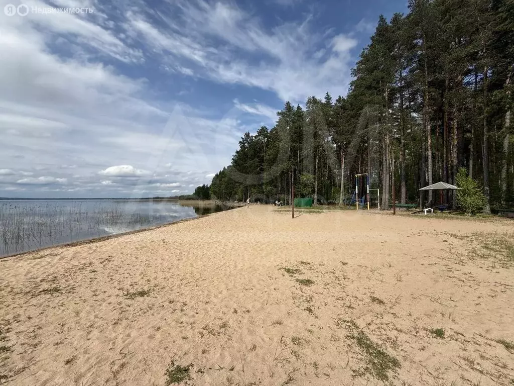 Участок в Плодовское сельское поселение, посёлок Кутузовское, Сосновая ... - Фото 2