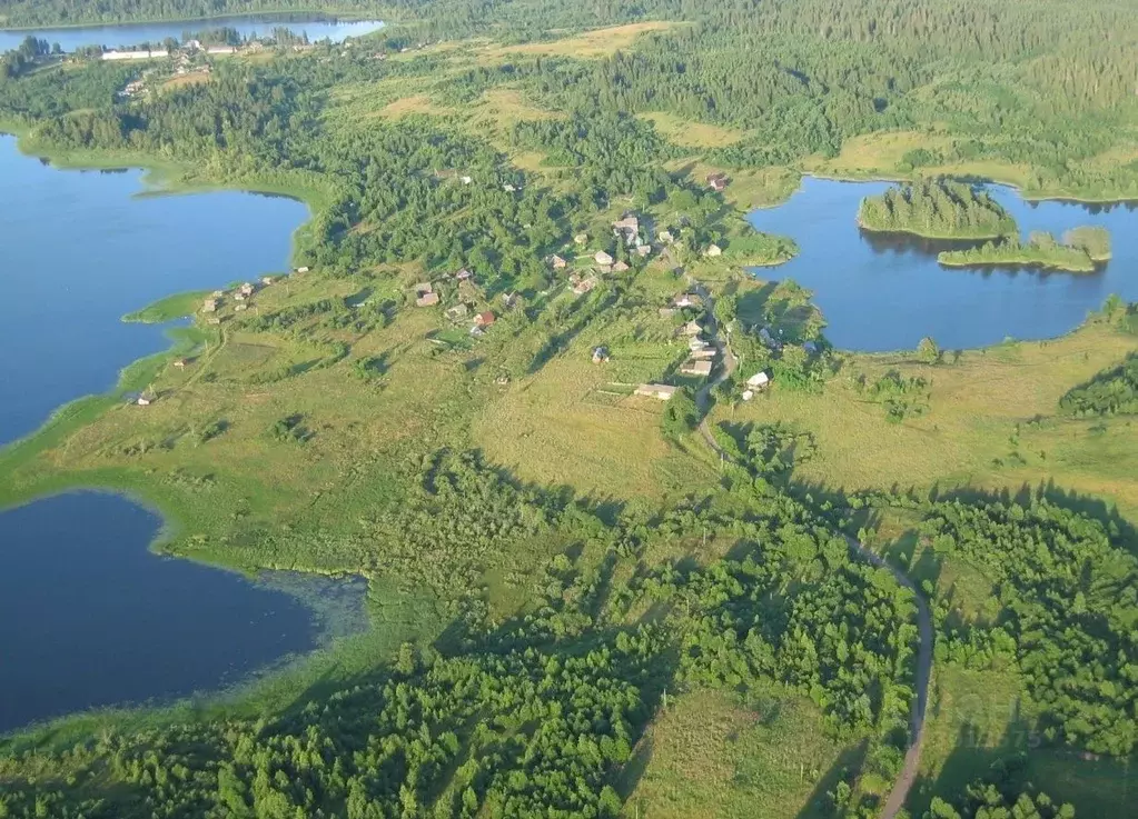 Участок в Новгородская область, Валдайский район, Костковское с/пос, ... - Фото 1
