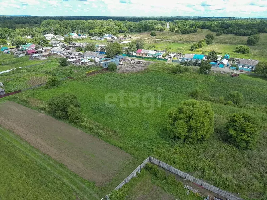 Участок в Хабаровский край, Имени Лазо район, с. Могилевка  (36.0 ... - Фото 1