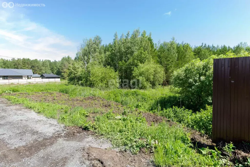 Участок в Тюменский район, село Каменка (15 м) - Фото 1