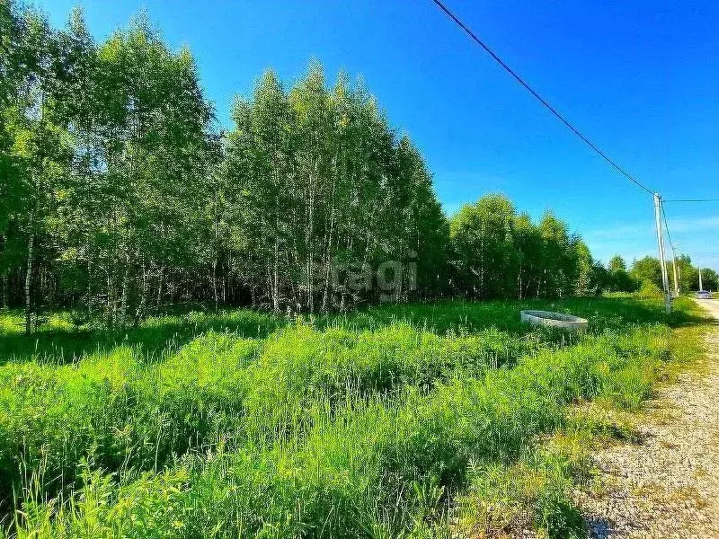 Участок в Калужская область, Малоярославецкий муниципальный округ, ... - Фото 1