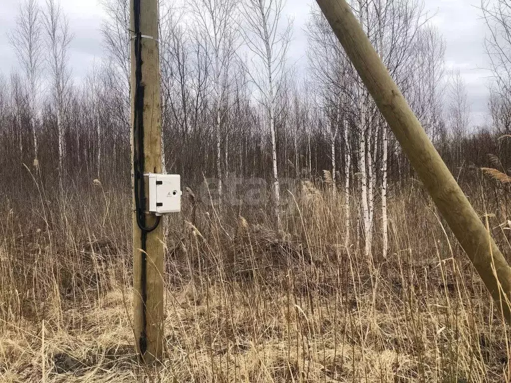 Участок в Тюменская область, Тюмень ул. Клубничная (9.77 сот.) - Фото 1