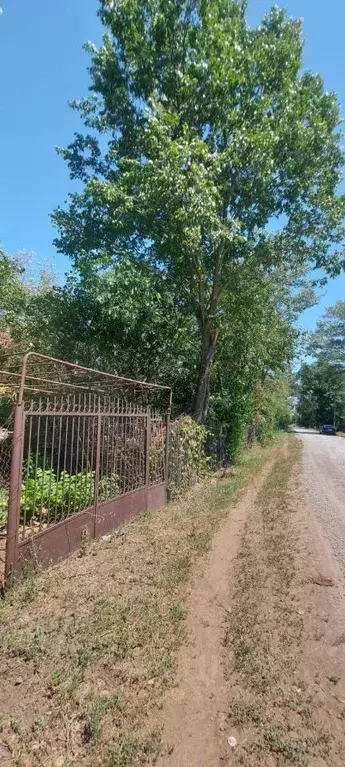 Участок в Ростовская область, Неклиновский район, Синявское с/пос, ... - Фото 1