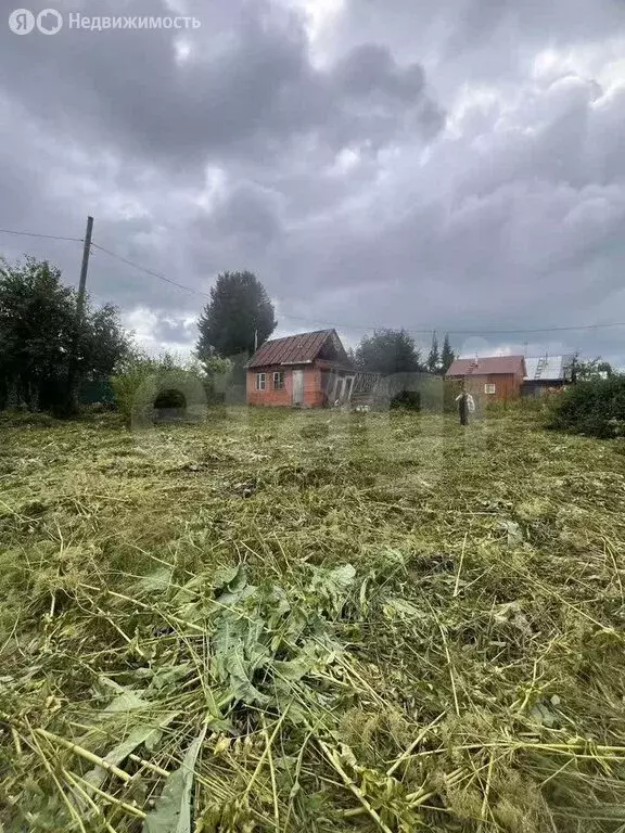 Участок в Томск, СНТ Пенсионер (4 м) - Фото 2