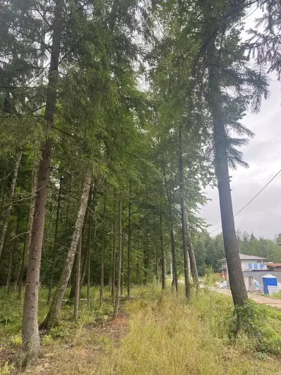 Участок в Московская область, Одинцовский городской округ, д. Сивково, ... - Фото 1