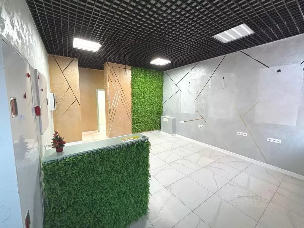 Помещение свободного назначения в Ленинградская область, Мурино ... - Фото 1