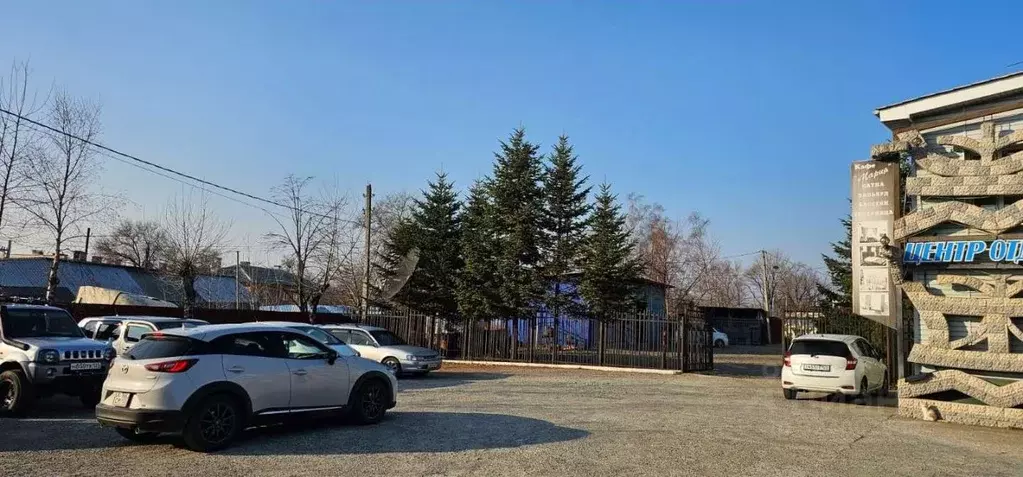 Торговая площадь в Приморский край, Надеждинский район, с. Прохладное ... - Фото 2