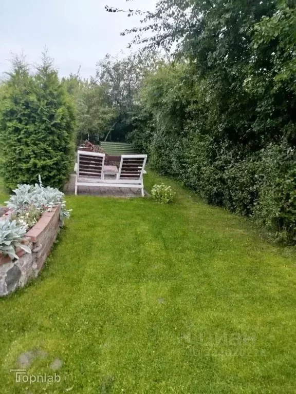 Участок в Калининградская область, Зеленоградск Волна садоводческое ... - Фото 2