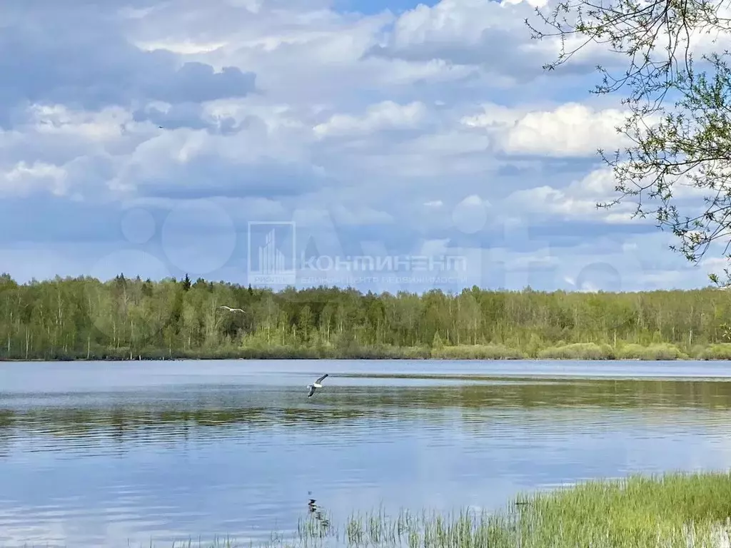 Дача 36 м на участке 11 сот. - Фото 0